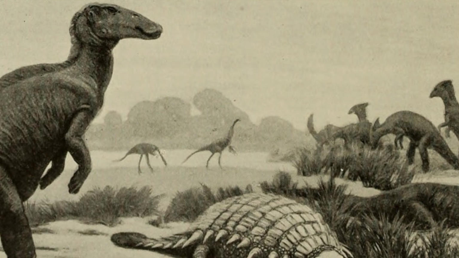 The image is a vintage grayscale illustration depicting a prehistoric scene with several dinosaurs. In the foreground, a large dinosaur with a long neck and a horse-like head stands prominently, while the background features a group of similar dinosaurs in motion. To the left, a smaller dinosaur is seen in the distance